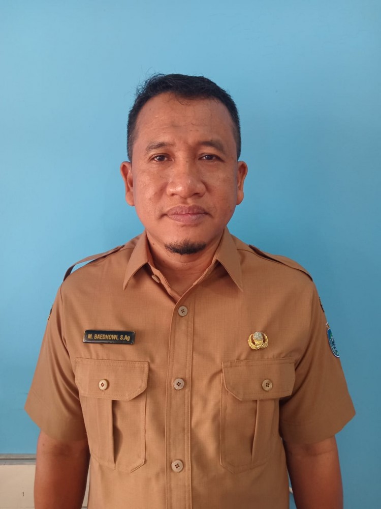 Mohammad Baedhowi, S.Ag.