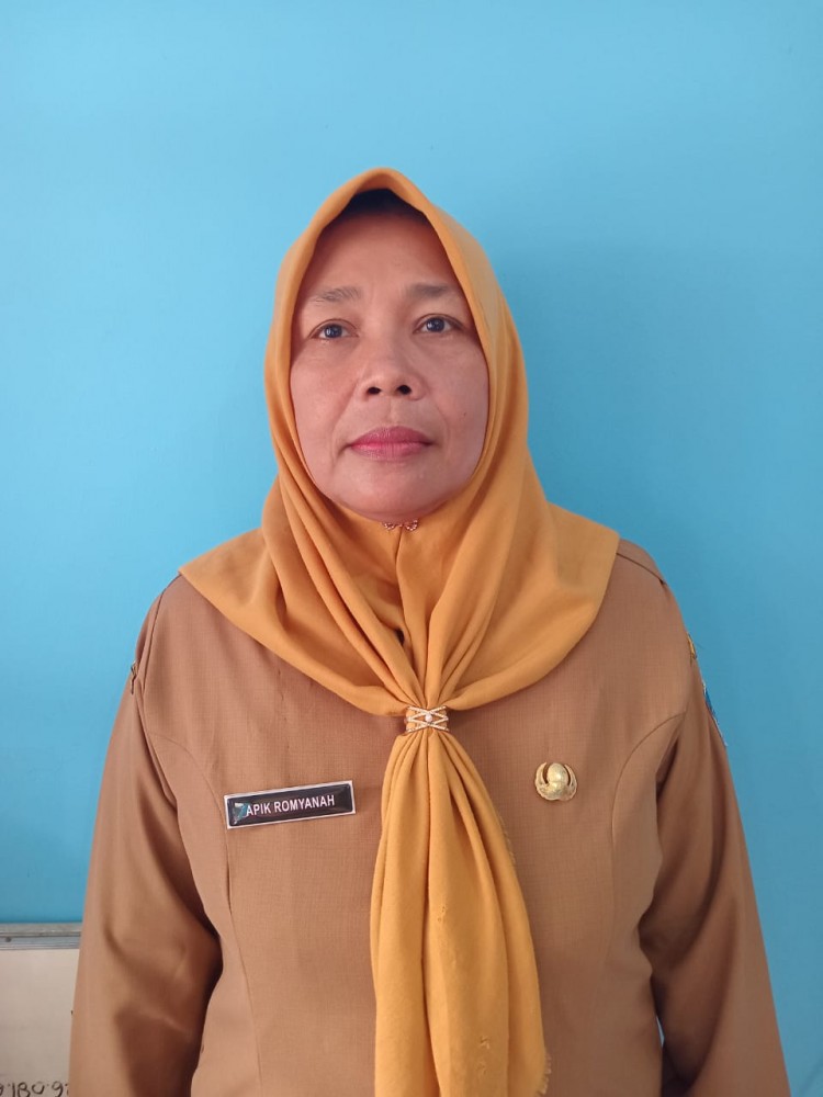 Apik Romyanah